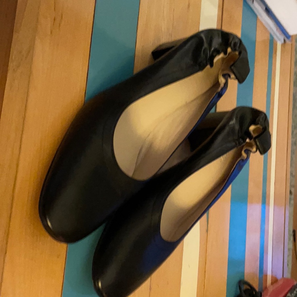 Everlane 2” Black “The Day Heel”.